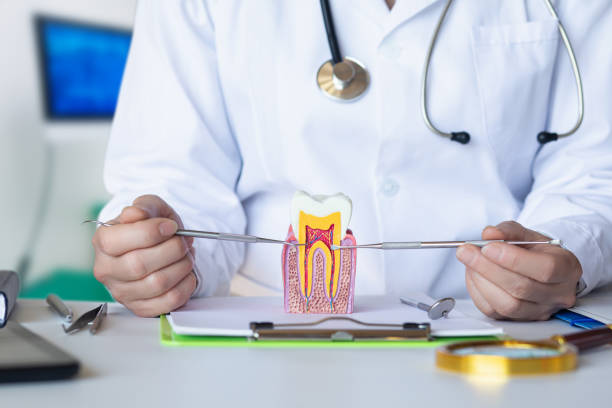 Best Emergency Treatment for Toothache in Columbus, KS